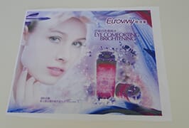 Flag Cloth banner 3 printed by 1.6m (5 feet) eco solvent printer WER-ES160