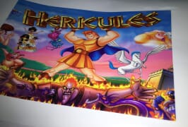 Self Adhesive Vinyl prinited by 1.6m (5 feet) eco solvent printer WER-ES160