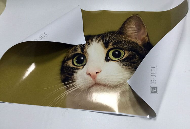 Vinyl printing sample from 1.6m eco solvent printer